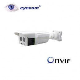 EyecamCamera IP Megapixel Eyecam EC-1203 - 1Mp