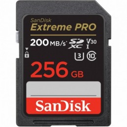 SD Card 256GB CL10...